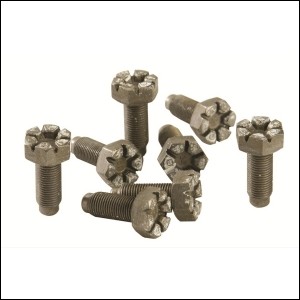 Flywheel bolt kit, Ford 4.6/5.4L, 10mm x 1mm x 25mm (Set of 8)